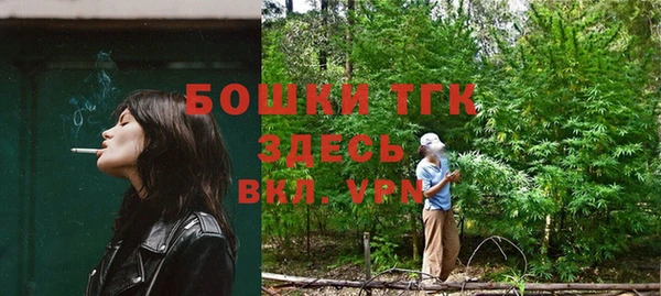 твердый Богданович