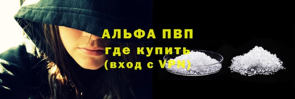 твердый Богданович