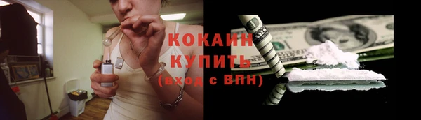 твердый Богданович