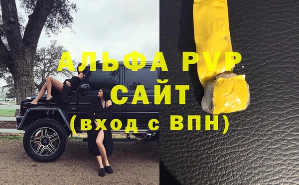 твердый Богданович