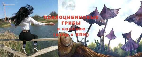 прущая мука Бикин