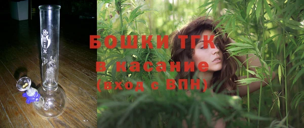твердый Богданович
