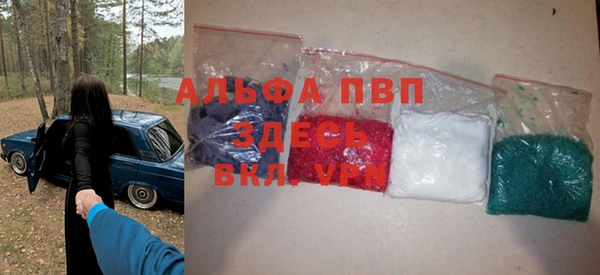 твердый Богданович